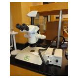 Leica Microscope