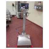 Portable Stainless Steel Platform Scale