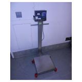 Floor Scale