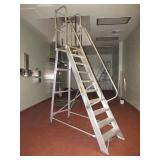 Platform Ladder