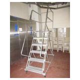 Platform Ladder