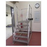 Platform Ladder