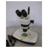 Stereo Microscope Stereo Microscope