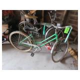 Vintage Schwinn Colgate Women