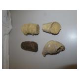 Primitive Fossilized Rocks (largest = 3")