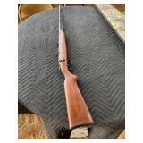 .22 Remington sport master 50s