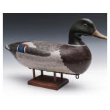 A NICE MALLARD DRAKE DECOY MARKED PERDEW