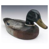 AN ANTIQUE CARVED AND PAINTED MALLARD DRAKE DECOY AN ANTIQUE CARVED AND PAINTED MALLARD DRAKE DECOY