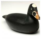 A SURF SCOTER DECOY, J.P. HAND CAPE MAY COUNTY, NJ A SURF SCOTER DECOY, J.P. HAND CAPE MAY COUNTY, NJ