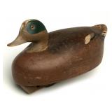 AN OVER-SIZED WIGEON DRAKE DECOY