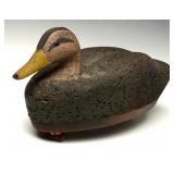 A CORK BODY BLACK DUCK HEN DECOY, COLUMBIA, PENN.