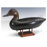 A NICE BLACK DUCK HEN DECOY MARKED PERDEW