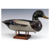 A NICE MALLARD DRAKE DECOY MARKED PERDEW