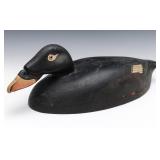A SURF SCOTER PAINTED AD CARVED WOOD DECOY A SURF SCOTER PAINTED AD CARVED WOOD DECOY