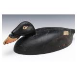 A SURF SCOTER PAINTED AD CARVED WOOD DECOY