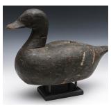 A BLACK DUCK DRAKE ANTIQUE CARVED WOOD DECOY