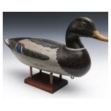 A NICE MALLARD DRAKE DECOY MARKED PERDEW