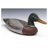 AN EARLY 20TH C. MALLARD DRAKE CARVED WOOD DECOY