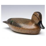 VIRGIL LASHBROOK GREEN-WINGED TEAL HEN, PEKIN, IL VIRGIL LASHBROOK GREEN-WINGED TEAL HEN, PEKIN, IL