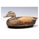 AN ANTIQUE CARVED WOOD HEN BLACK DUCK DECOY