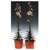 AN OUTSTANDING PAIR OF 19TH C. FRENCH TOLE LILIES