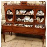 EDWARDIAN SPECIMEN CABINET W/ SEASHELL COLLECTION