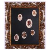 JON ZAHOUREK PORTRAITS / JUDY GRAESE ILLUSTRATION