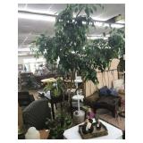 furniture and accessories sold seperate