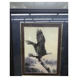 picture eagle