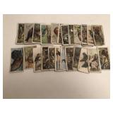 Early Tobacco Card Birds Lot Early Tobacco Card Birds Lot