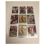 Steve Young Lot