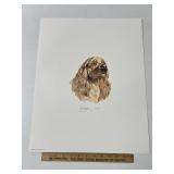 Cocker Spaniel By Roger Cruwys Signed & Numbered