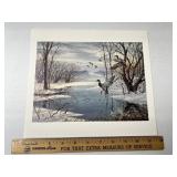 Mallard Duck Print By Maass