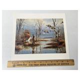 Silver Bullets Canvasbacks By David Maass