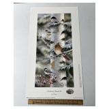 Feathered Friends II By Mark Daehlin