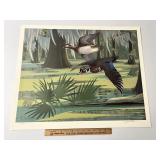Wood Duck Print By Richard Sloan Signed & Numbered