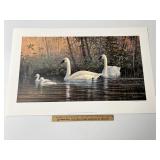 Tranquil Waters By Scott Zoellick Signed