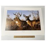 Majestic Morning By Leo Stans