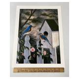 Bluebird Print By Rick Kelley