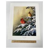 Winter Refuge By Jim Hansel