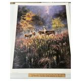 Whitetailed Deer Print By Rick Kelley Signed