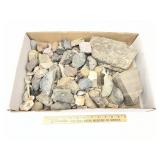 Flat Of Assorted Minerals, Crystals, Geodes, Quart