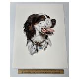 English Setter By Roger Cruwys