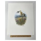 Hummingbirds By Ronald Louque Signed & Numbered