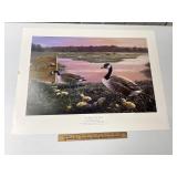 New Life In The Marsh By Arthur Anderson Signed &