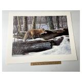 Curiosity By Scott Zoellick Signed & Numbered