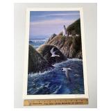 Common Terns At Heceta By Ed Newbold Signed & Numb