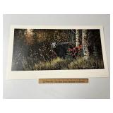 Black Bear By Robert Schmidt