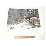 Meeker Mountain Mulies By Scott Zoellick Signed