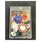 Vladimir Guerrero Jr Jersey Card